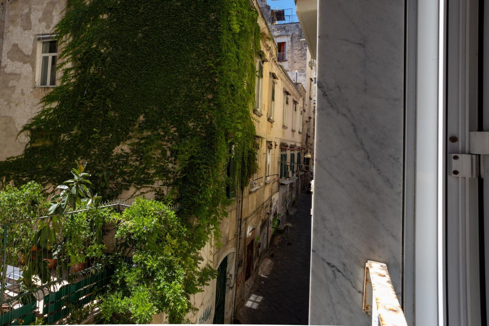 Via Mezzocannone 97 Apartment *
